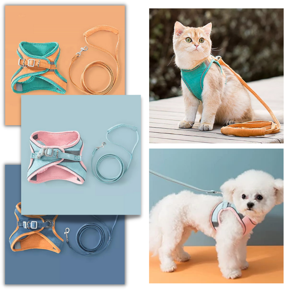 Pet Harness and Leash Set