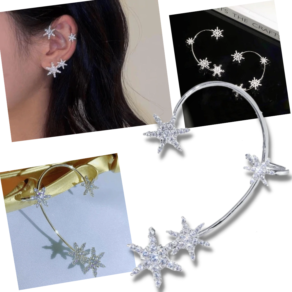 Pair of Zirconia Clip-on Fashion Earrings