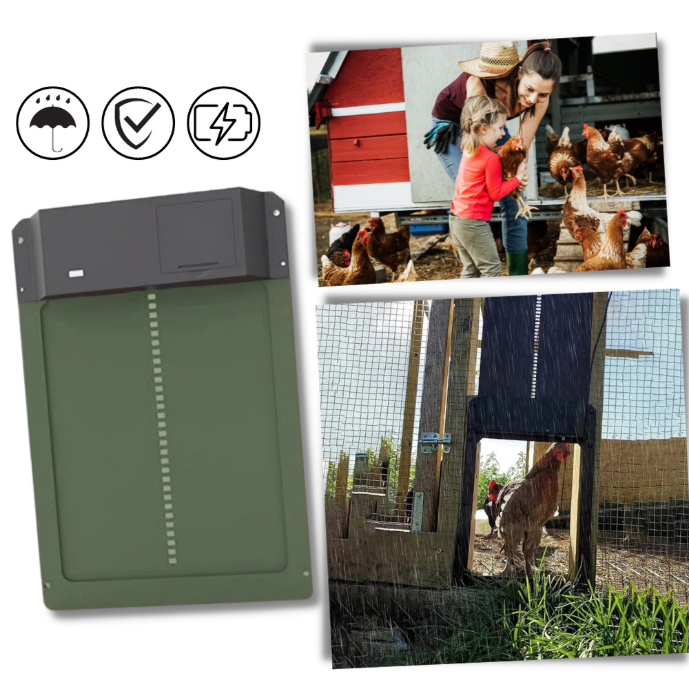Automatic Chicken Coop Door