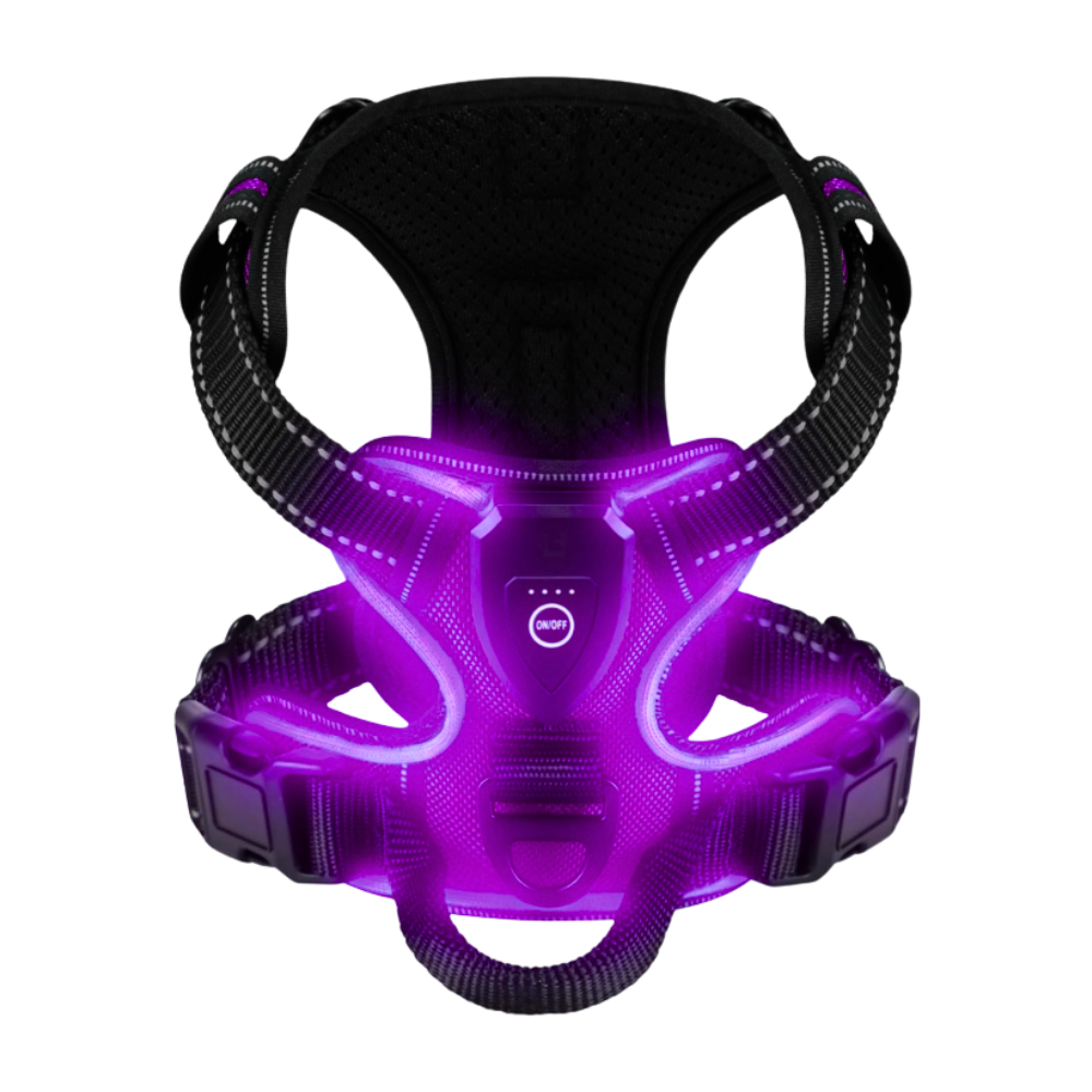 Blink LED Light Dog Harness