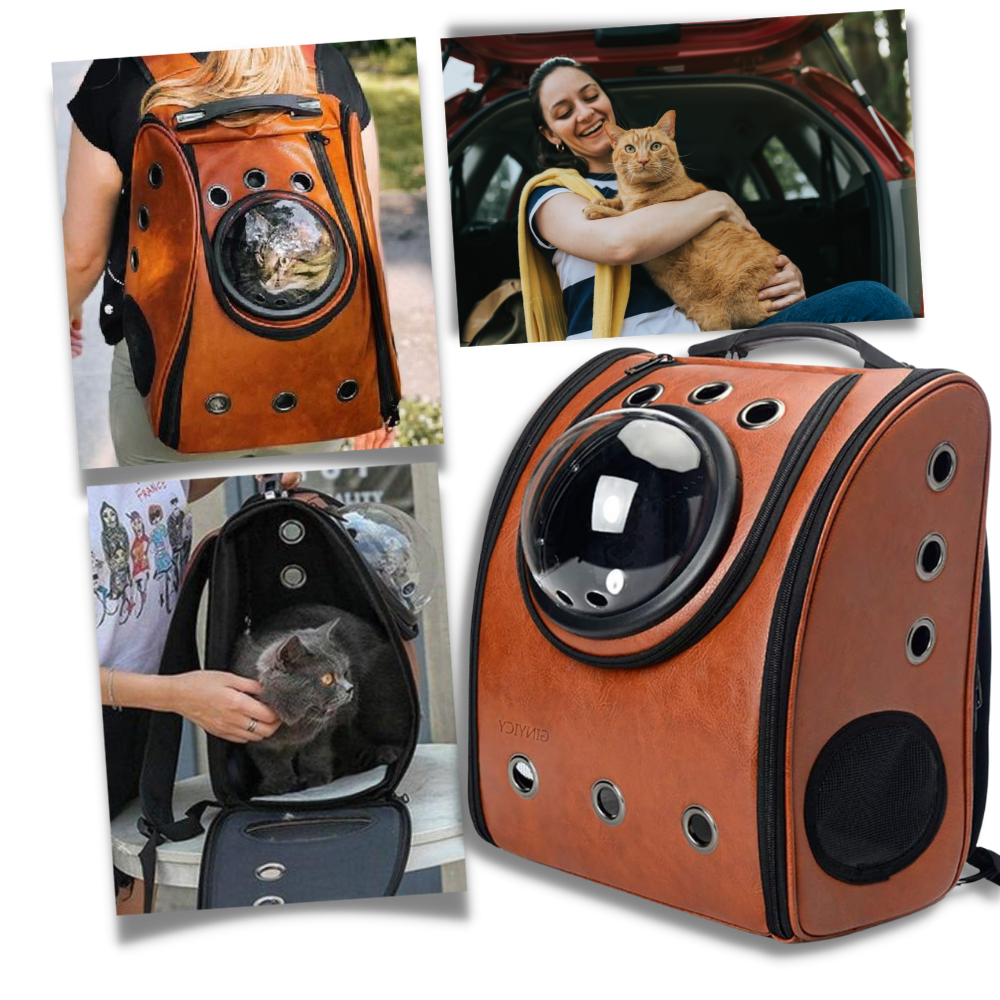 Cat Travel Backpack