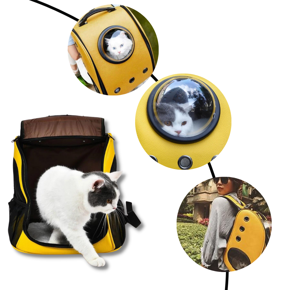 Cat Travel Backpack