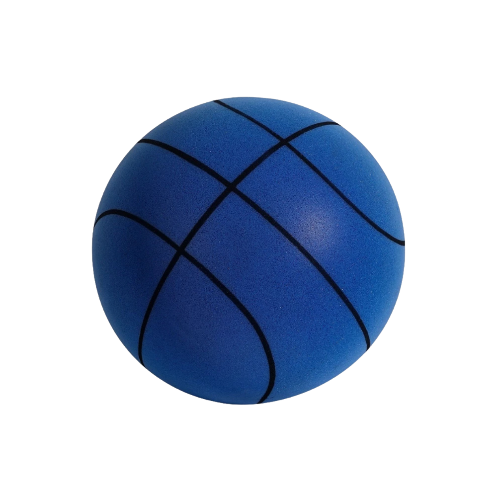 Color Fun Silent Basketball