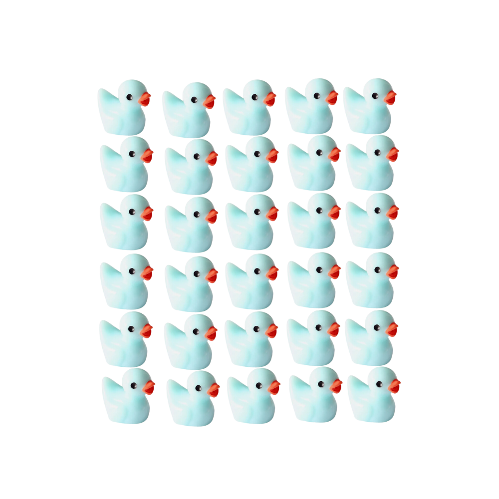Cute Duck Challenge Toy