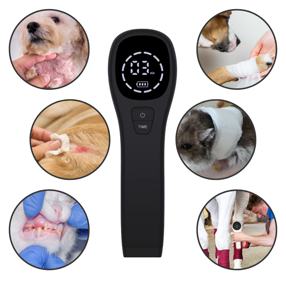 Handheld Infrared Therapy Device for Pet