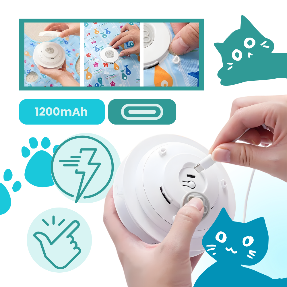 Kitten Teething Feather Toy
