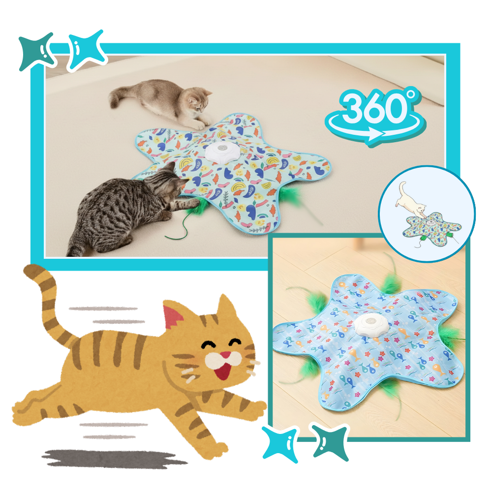 Kitten Teething Feather Toy