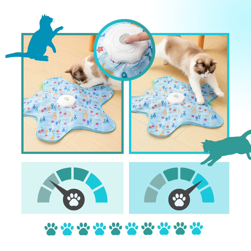 Kitten Teething Feather Toy