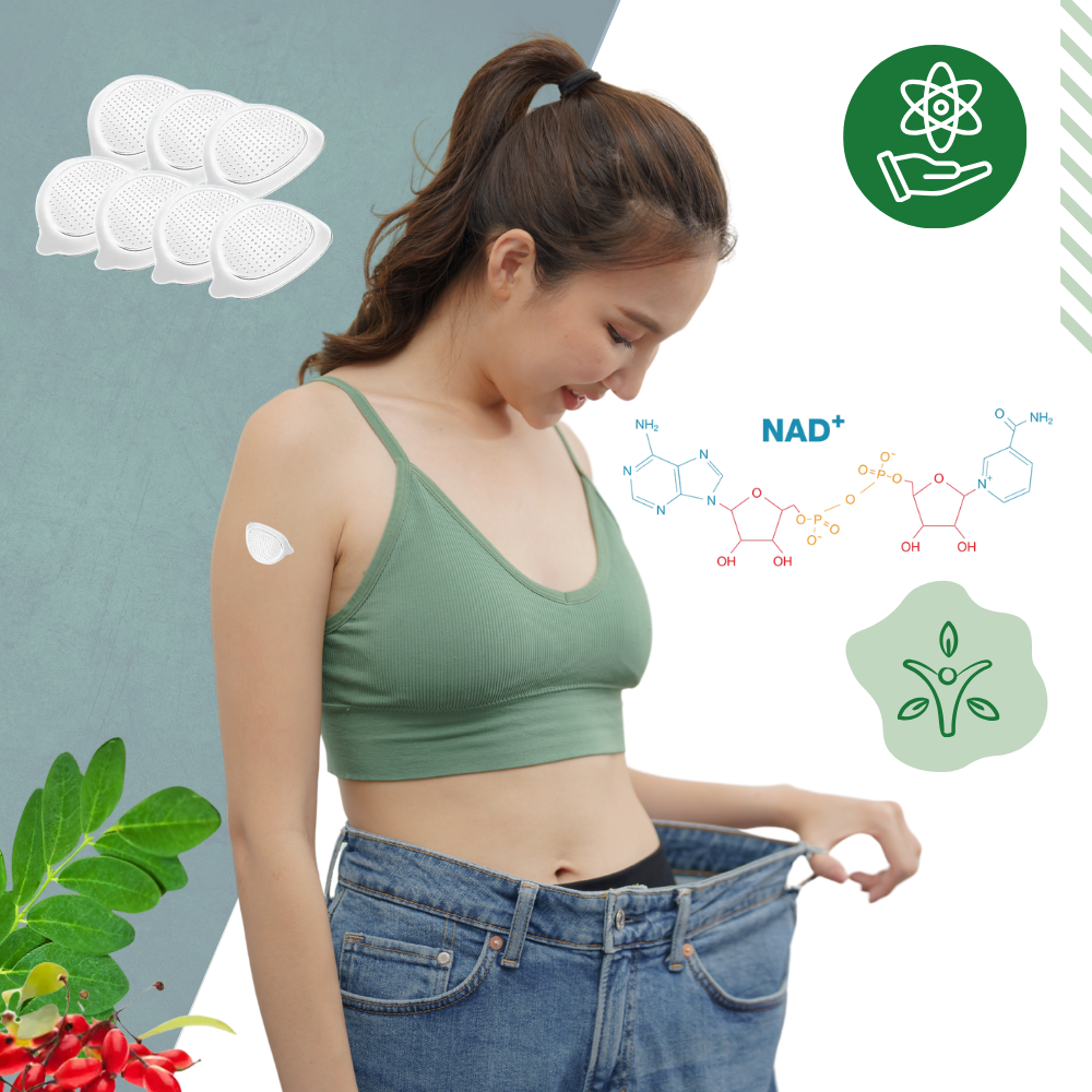 Microneedle Moringa Patches