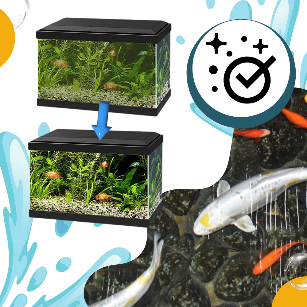 Preventive Aquarium Algaecide