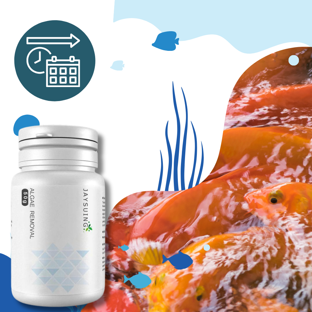 Preventive Aquarium Algaecide