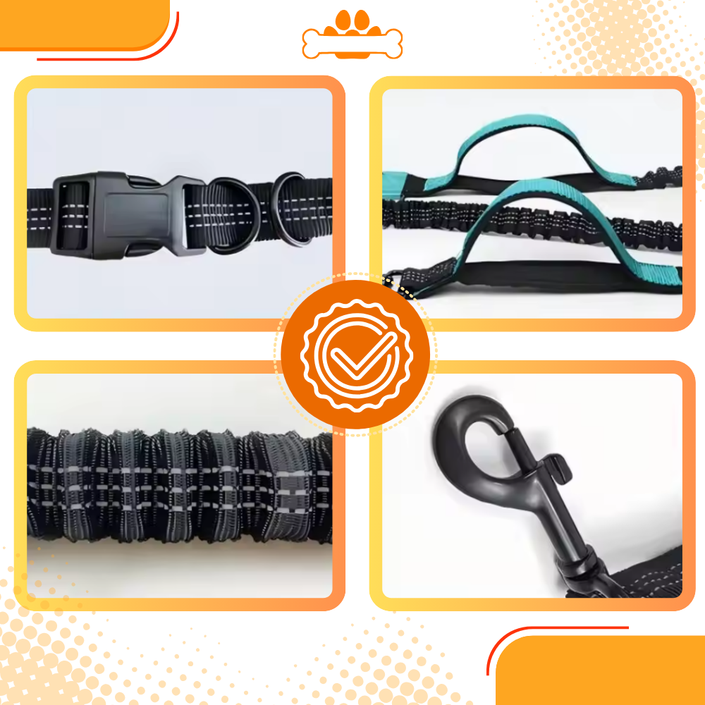 Secure & Ergonomic Dog Waist Leash