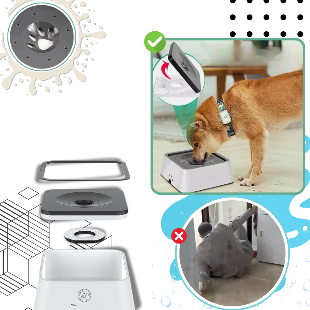 Splash-Free Water Bowl For Dogs