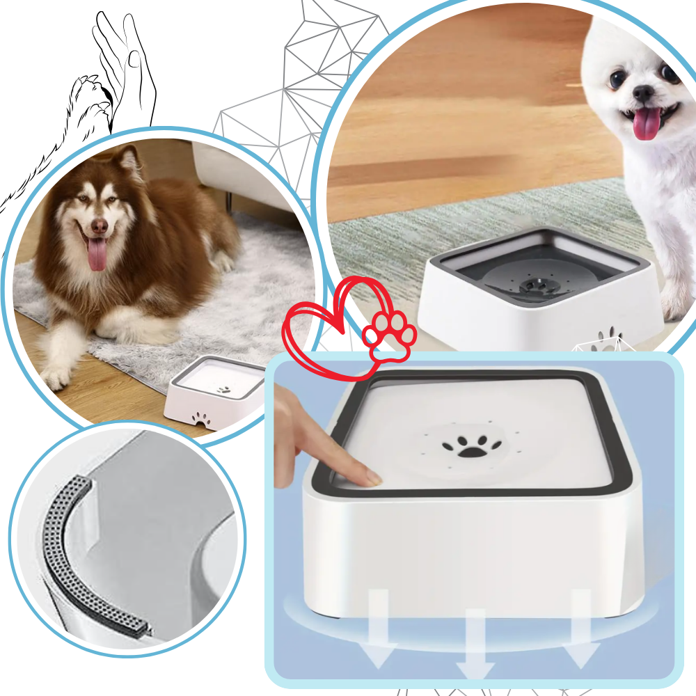Splash-Free Water Bowl For Dogs