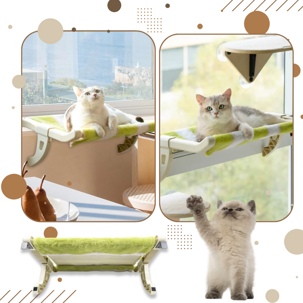 Tool-Free Cat Bed & Window Perch